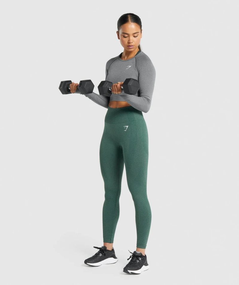 Women's Gymshark Vital Seamless 2.0 Long Sleeve Cropped Tops Grey | CA 0N7361